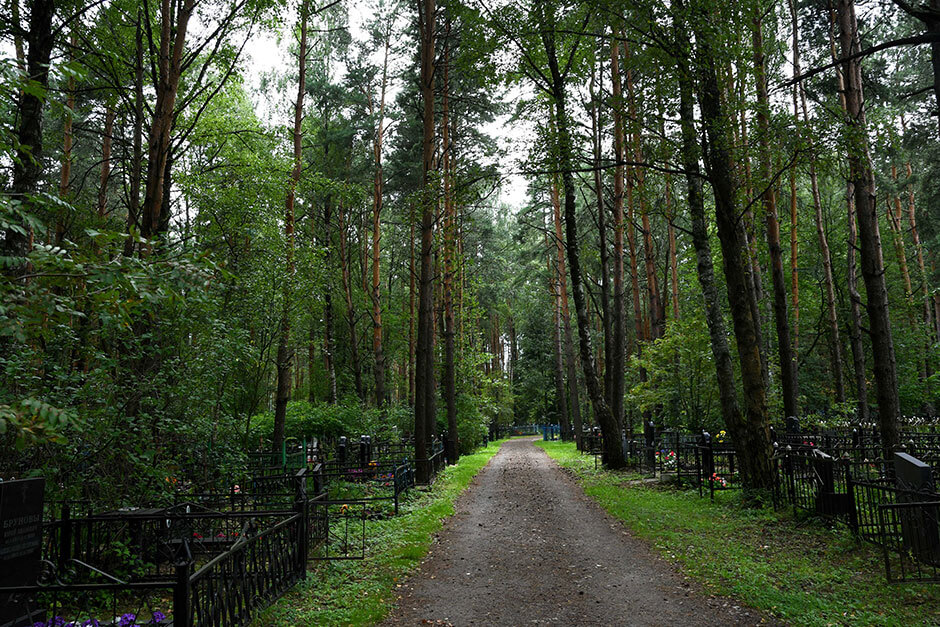 Кладбище Бочевинка. Фото 2