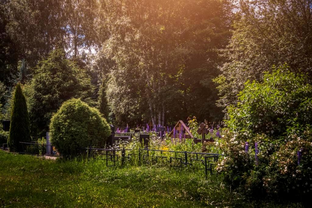Фенинское кладбище. Фото 11