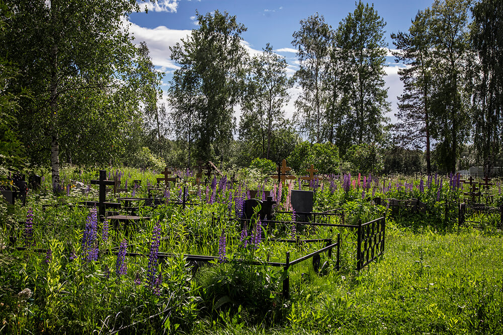 Новодеревенское кладбище (Балашиха). Фото 14