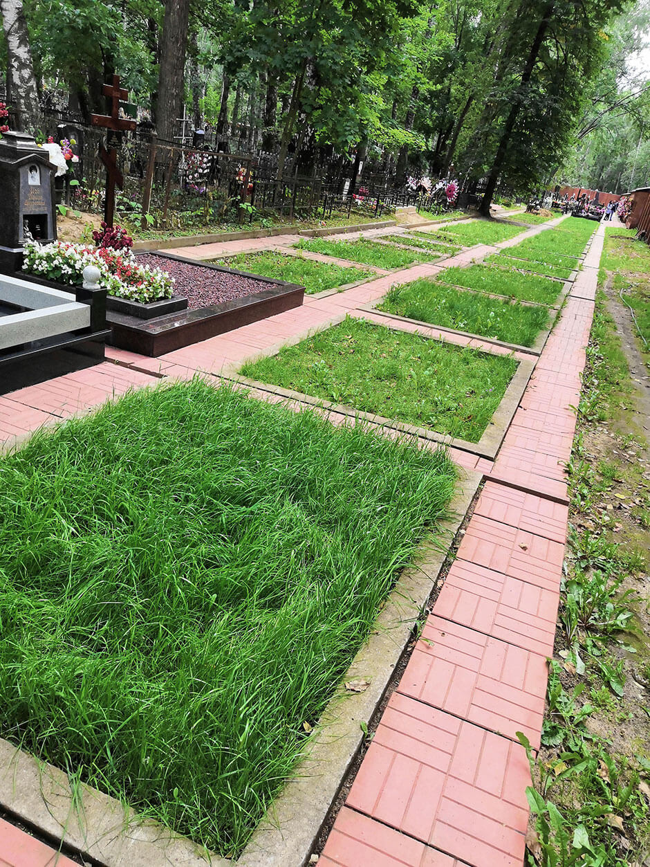 Новолужинское кладбище. Фото 2