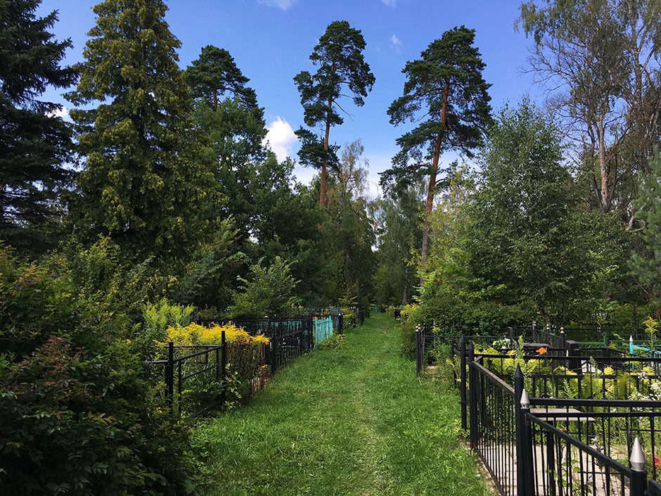 Старое кладбище (Истра). Фото 1