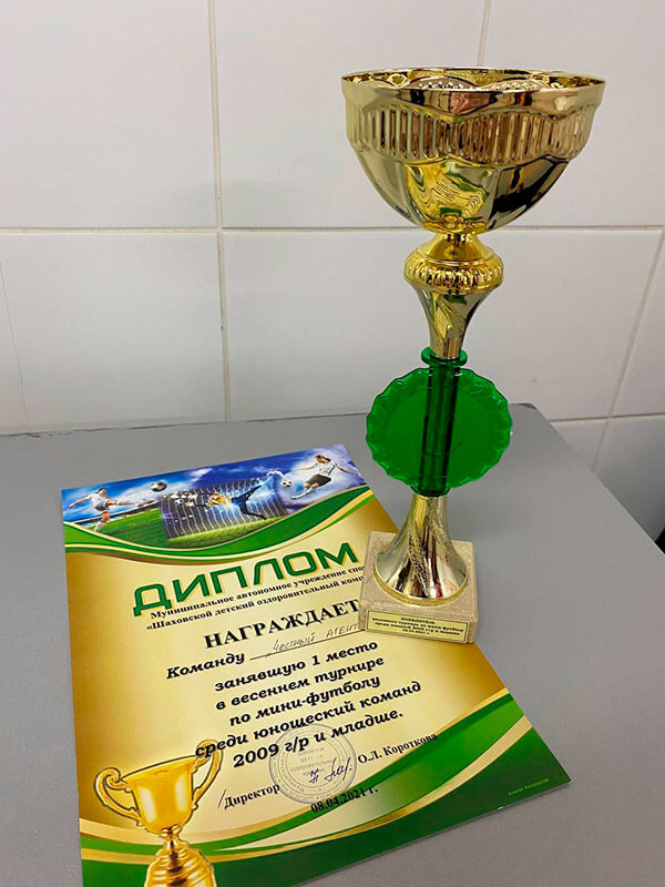 Турнир по футболу в Шаховской