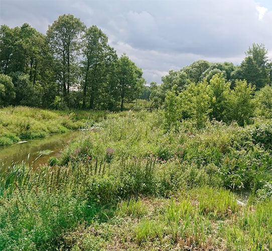 Фото кладбища временно недоступно